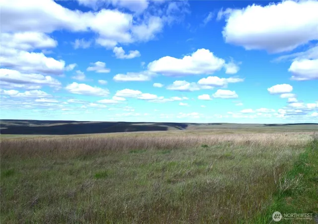 Photo 4 of Land for sale at 2367 Scott Sta Rd, Prescott, WA 99348 | MLS# NWM2476251 | Listing updated on 2026-09-17