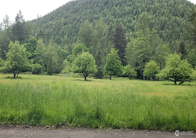 Photo 2 of Land for sale at 32 Se Xxx 341st St, Ravensdale, WA 98051 | MLS# NWM2476510 | Listing updated on 2026-09-17