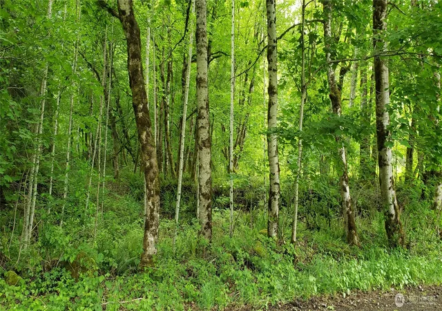 Photo 3 of Land for sale at 32 Se Xxx 341st St, Ravensdale, WA 98051 | MLS# NWM2476510 | Listing updated on 2026-09-17