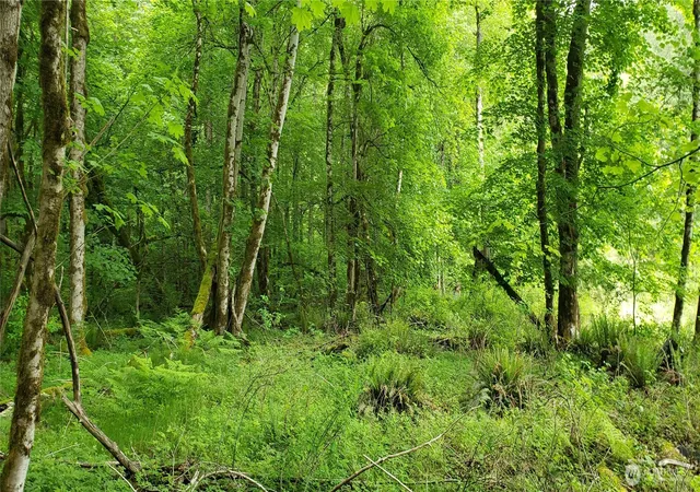 Photo 3 of Land for sale at 32 SE Xxx 341st St, Ravensdale, WA 98051 | MLS# NWM2476510 | Listing updated on 2026-09-17