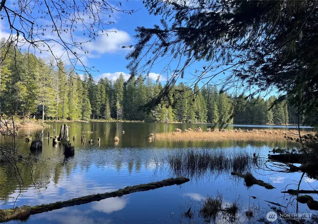 Land for sale at 0 NE Lake Christine Rd, Tahuya, WA 98588 | MLS# NWM2476620