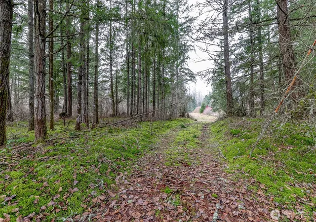 Photo 2 of Land for sale at 25414 48th Avenue E, Graham, WA 98338 | MLS# NWM2476721 | Listing updated on 2026-09-17