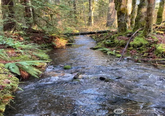 Photo 2 of Land for sale at 320 N Mt Jupiter Dr, Hoodsport, WA 98548 | MLS# NWM2476988 | Listing updated on 2026-09-17