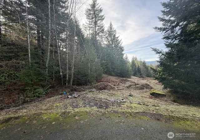 Photo 3 of Land for sale at 115 Ridge Ln, Packwood, WA 98361 | MLS# NWM2477334 | Listing updated on 2026-09-17