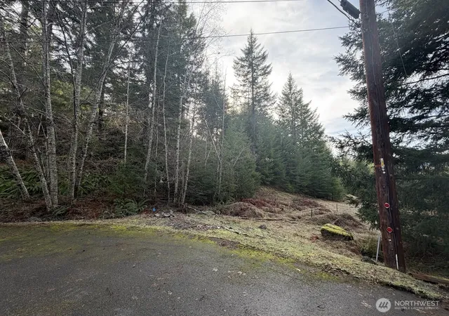 Photo 4 of Land for sale at 115 Ridge Ln, Packwood, WA 98361 | MLS# NWM2477334 | Listing updated on 2026-09-17