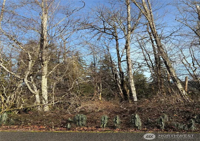 Photo 1 of Land for sale at 128 Valley View Dr, Mossyrock, WA 98564 | MLS# NWM2477565 | Listing updated on 2026-09-17