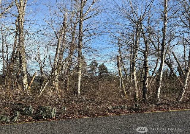 Photo 2 of Land for sale at 128 Valley View Dr, Mossyrock, WA 98564 | MLS# NWM2477565 | Listing updated on 2026-09-17