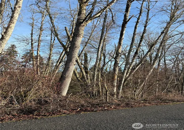 Photo 3 of Land for sale at 128 Valley View Dr, Mossyrock, WA 98564 | MLS# NWM2477565 | Listing updated on 2026-09-17