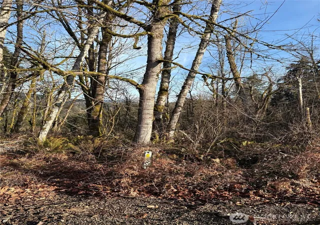 Photo 3 of Land for sale at 128 Valley View Dr, Mossyrock, WA 98564 | MLS# NWM2477565 | Listing updated on 2026-09-17