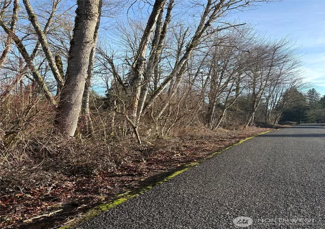 Photo 4 of Land for sale at 128 Valley View Dr, Mossyrock, WA 98564 | MLS# NWM2477565 | Listing updated on 2026-09-17