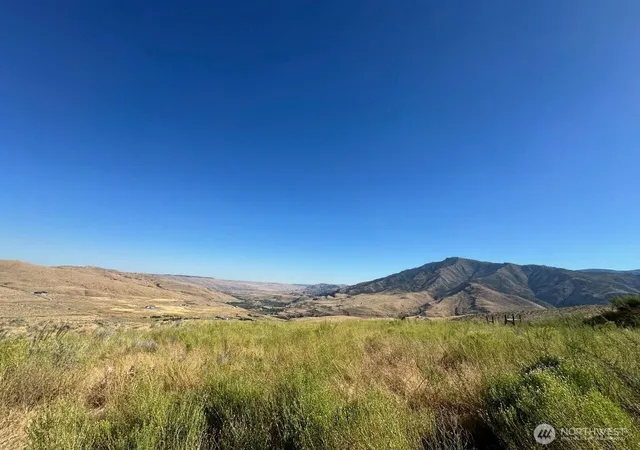 Land for sale at 0 Curly Horse Dr, Pateros, WA 98846 | MLS# NWM2478018