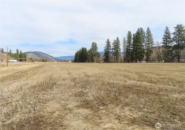 Photo 3 of Land for sale at 0 Lot 8 Hwy 21 N, Danville, WA 99121 | MLS# NWM2478095 | Listing updated on 2026-09-17