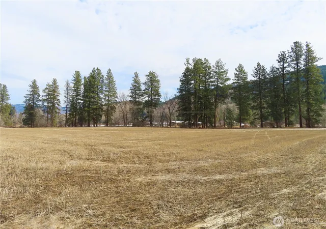Photo 3 of Land for sale at 0 Lot 8 Hwy 21 N, Danville, WA 99121 | MLS# NWM2478095 | Listing updated on 2026-09-17