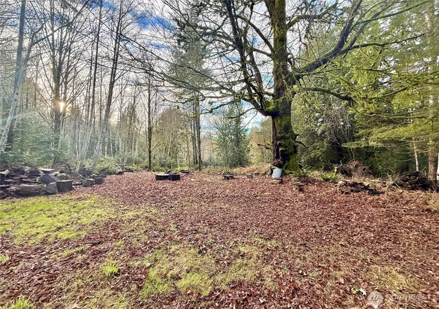 Photo 2 of Land for sale at 705 E Colonel Wright Rd, Shelton, WA 98584 | MLS# NWM2478142 | Listing updated on 2026-09-17