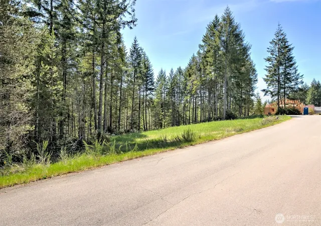 Photo 3 of Land for sale at 161 E Lexington Pl, Shelton, WA 98584 | MLS# NWM2478168 | Listing updated on 2026-09-17