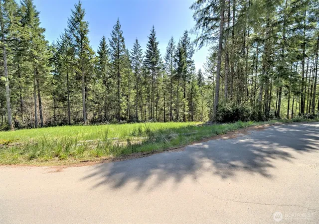 Photo 4 of Land for sale at 161 E Lexington Pl, Shelton, WA 98584 | MLS# NWM2478168 | Listing updated on 2026-09-17