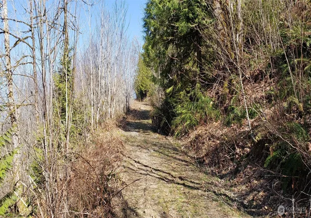 Photo 2 of Land for sale at 0 Concrete Sauk Valley Rd, Concrete, WA 98237 | MLS# NWM2478213 | Listing updated on 2026-09-17