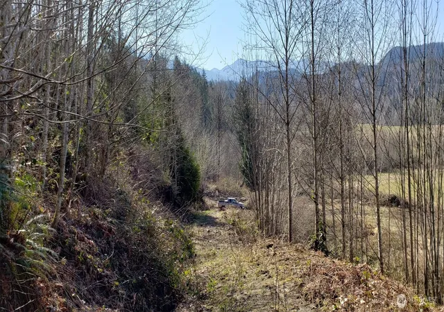 Photo 3 of Land for sale at 0 Concrete Sauk Valley Rd, Concrete, WA 98237 | MLS# NWM2478213 | Listing updated on 2026-09-17