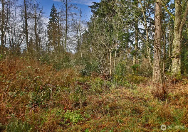Photo 1 of Land for sale at 0 Goss Lake Rd, Freeland, WA 98249 | MLS# NWM2478591 | Listing updated on 2026-09-17