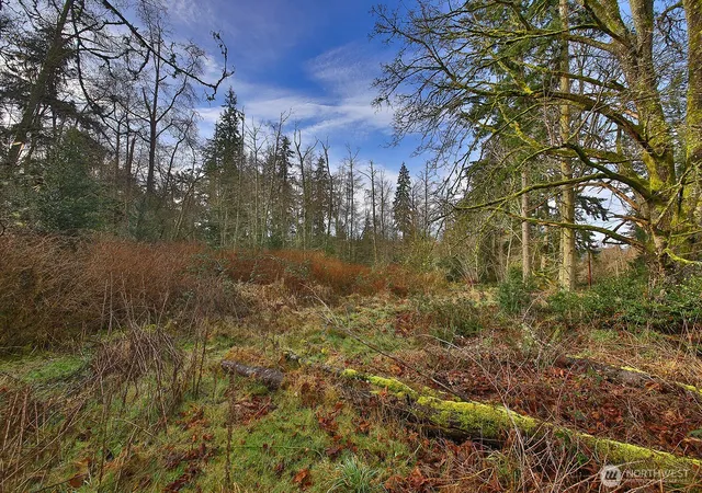 Photo 3 of Land for sale at 0 Goss Lake Rd, Freeland, WA 98249 | MLS# NWM2478591 | Listing updated on 2026-09-17