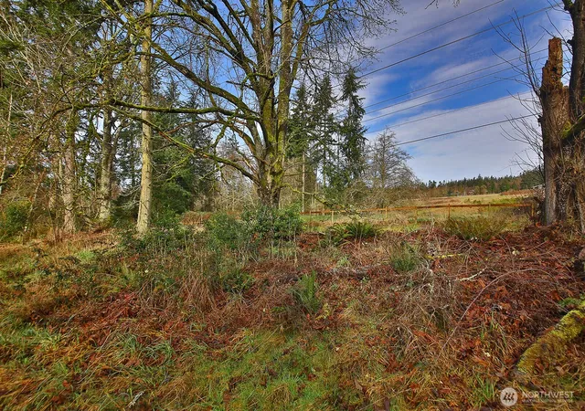 Photo 4 of Land for sale at 0 Goss Lake Rd, Freeland, WA 98249 | MLS# NWM2478591 | Listing updated on 2026-09-17