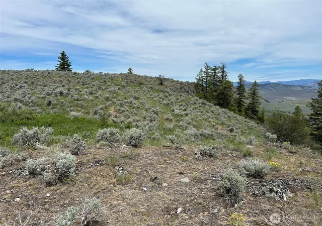 Photo 1 of Land for sale at 4 Tbd Ellemeham Mountain Rd, Oroville, WA 98844 | MLS# NWM2478611 | Listing updated on 2026-09-17