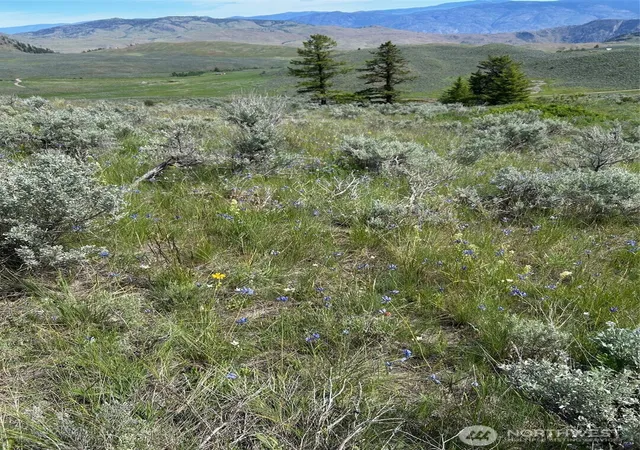 Photo 3 of Land for sale at 4 Tbd Ellemeham Mountain Rd, Oroville, WA 98844 | MLS# NWM2478611 | Listing updated on 2026-09-17