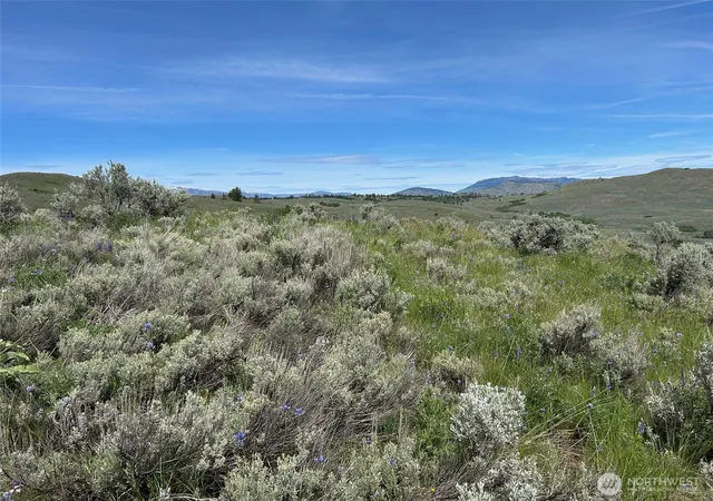 Photo 3 of Land for sale at 4 Tbd Ellemeham Mountain Rd, Oroville, WA 98844 | MLS# NWM2478611 | Listing updated on 2026-09-17
