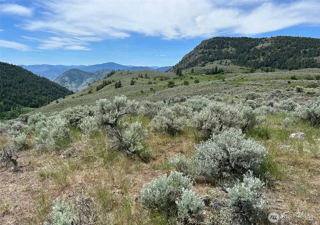 Photo 4 of Land for sale at 4 Tbd Ellemeham Mountain Rd, Oroville, WA 98844 | MLS# NWM2478611 | Listing updated on 2026-09-17