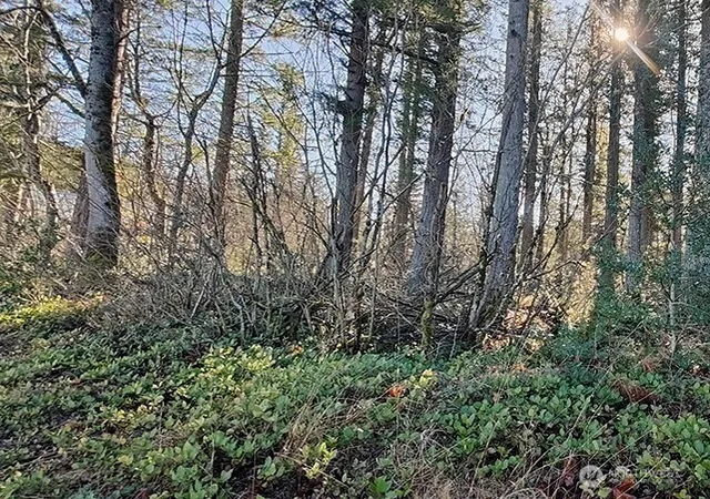Photo 3 of Sale Pending at 355 Xx 312th St Way SE, Enumclaw, WA 98022 | MLS# NWM2478963 | Listing updated on 2026-09-23
