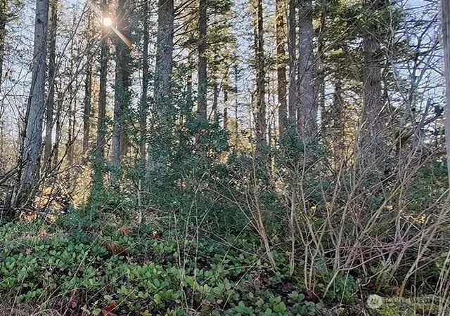 Photo 4 of Sale Pending at 355 Xx 312th St Way SE, Enumclaw, WA 98022 | MLS# NWM2478963 | Listing updated on 2026-09-23