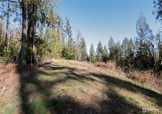 Photo 3 of Land for sale at 456 N Highway 101, Hoodsport, WA 98548 | MLS# NWM2478998 | Listing updated on 2026-09-17