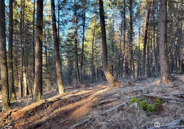 Photo 2 of Land for sale at 9999 Tbd Lundimo Meadows Rd, Curlew, WA 99118 | MLS# NWM2479248 | Listing updated on 2026-09-17