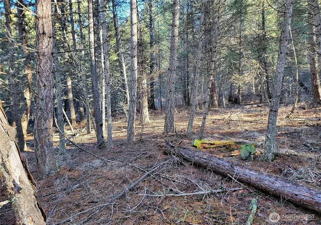 Photo 3 of Land for sale at 9999 Tbd Lundimo Meadows Rd, Curlew, WA 99118 | MLS# NWM2479248 | Listing updated on 2026-09-17