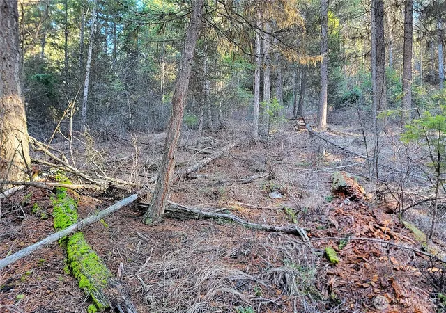 Photo 3 of Land for sale at 9999 Tbd Lundimo Meadows Rd, Curlew, WA 99118 | MLS# NWM2479248 | Listing updated on 2026-09-17