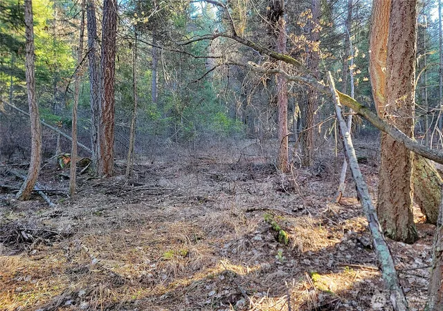 Photo 4 of Land for sale at 9999 Tbd Lundimo Meadows Rd, Curlew, WA 99118 | MLS# NWM2479248 | Listing updated on 2026-09-17