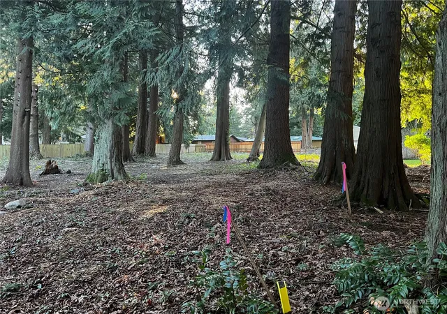 Photo 3 of Land for sale at 0 Xxx Forest View Dr, Bellingham, WA 98229 | MLS# NWM2479284 | Listing updated on 2026-09-17
