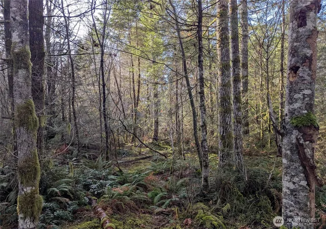 Photo 2 of Land for sale at 0 E Savage, Grapeview, WA 98546 | MLS# NWM2479502 | Listing updated on 2026-09-17