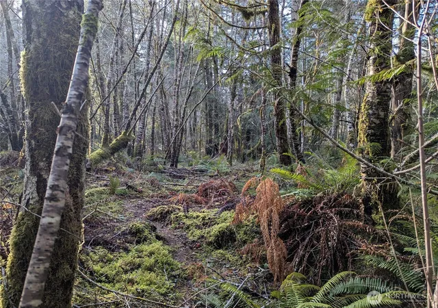Photo 3 of Land for sale at 0 E Savage, Grapeview, WA 98546 | MLS# NWM2479502 | Listing updated on 2026-09-17