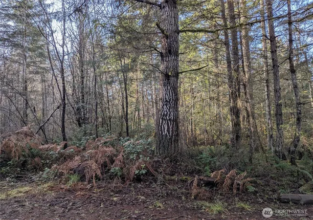 Photo 3 of Land for sale at 0 E Savage, Grapeview, WA 98546 | MLS# NWM2479502 | Listing updated on 2026-09-17