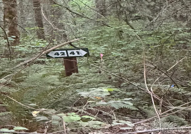 Photo 4 of Land for sale at 44302 32nd Avenue E, Eatonville, WA 98328 | MLS# NWM2480015 | Listing updated on 2026-09-17