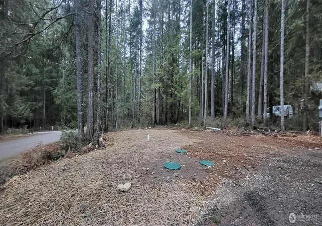 Photo 3 of Land for sale at 0 N Mt Jupiter Dr, Hoodsport, WA 98548 | MLS# NWM2480146 | Listing updated on 2026-09-17