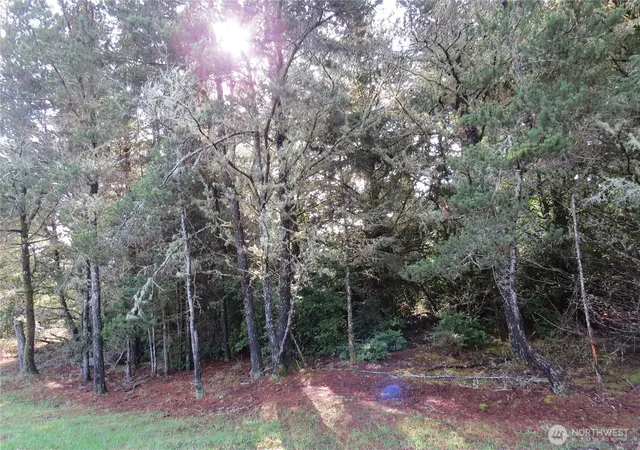 Photo 3 of Land for sale at 326 Wildwood Ave SE, Ocean Shores, WA 98569 | MLS# NWM2480221 | Listing updated on 2026-09-17