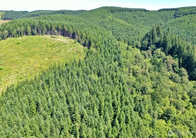 Photo 4 of Land for sale at 1668 King Rd, Winlock, WA 98596 | MLS# NWM2480557 | Listing updated on 2026-09-17