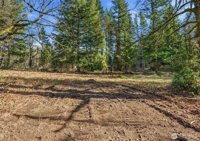 Photo 4 of Land for sale at 158 Windsock Rd, Ariel, WA 98603 | MLS# NWM2480607 | Listing updated on 2026-09-17