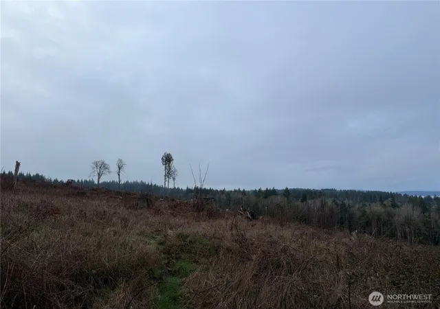 Photo 3 of Land for sale at 6 Trak Rimstone Loop, Belfair, WA 98528 | MLS# NWM2480731 | Listing updated on 2026-09-17
