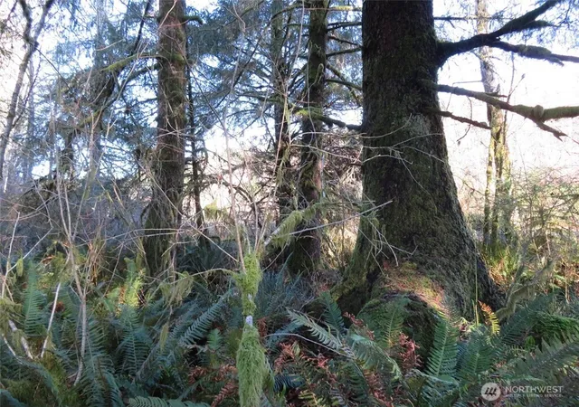 Photo 3 of Land for sale at 1478 E Xxx Hoquiam Rd, Hoquiam, WA 98550 | MLS# NWM2480903 | Listing updated on 2026-09-17