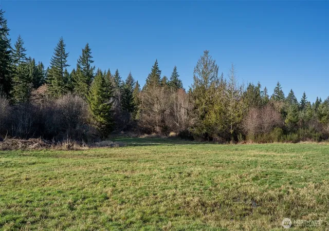 Photo 3 of Land for sale at 14647 Case Rd SW, Rochester, WA 98579 | MLS# NWM2480958 | Listing updated on 2026-09-17