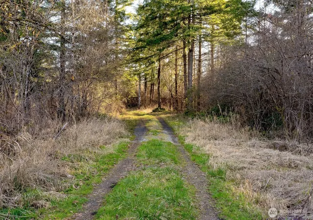 Photo 4 of Land for sale at 14647 Case Rd SW, Rochester, WA 98579 | MLS# NWM2480958 | Listing updated on 2026-09-17