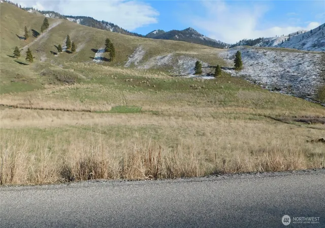 Land for sale at 8025 Nahahum Cyn Rd, Cashmere, WA 98815 | MLS# NWM2481253